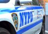 DA Pounces After Shocking Dog-Dragging Clip NYPD police car side with blue stripes and emblem